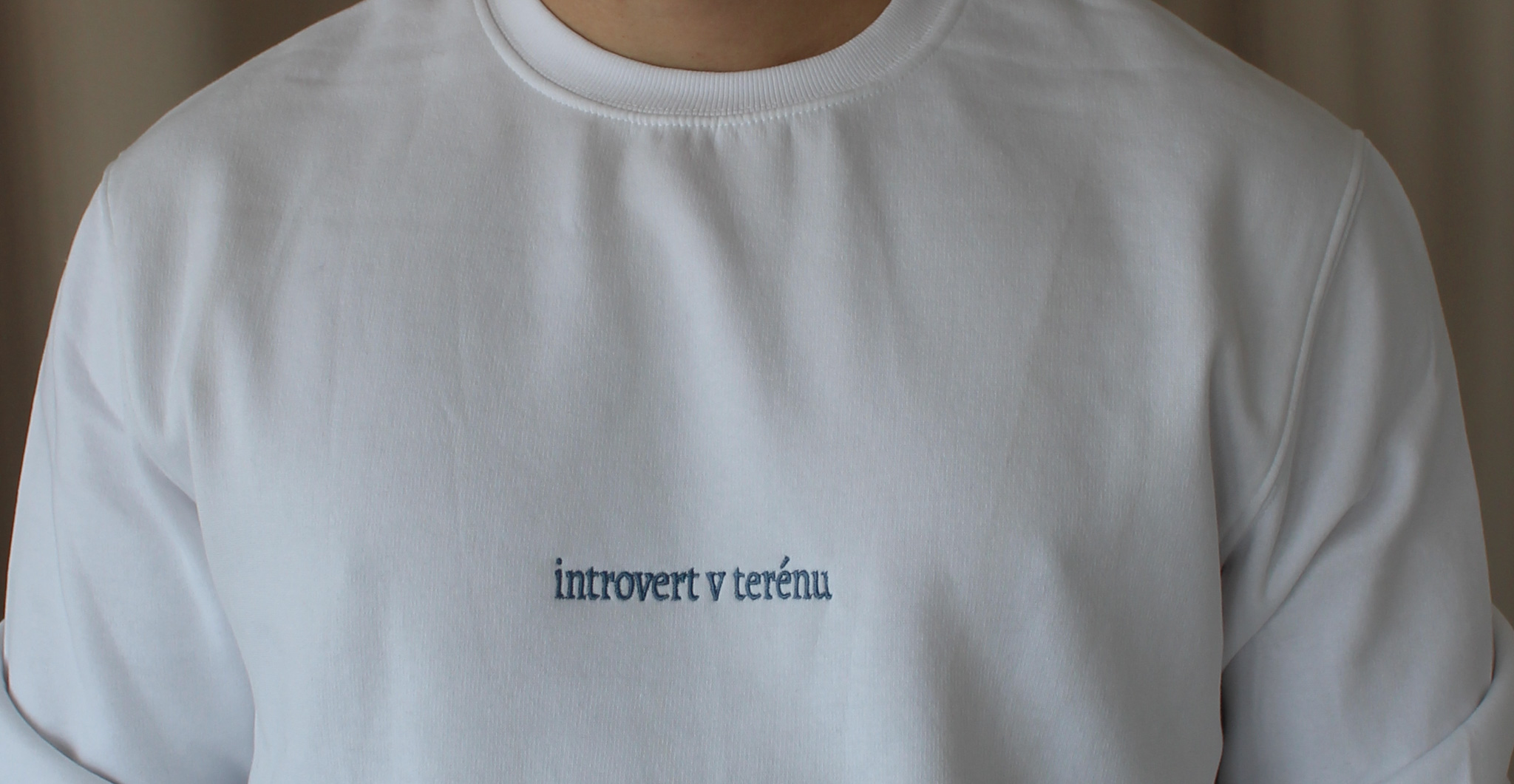 Mikina pánská Introvert v terénu